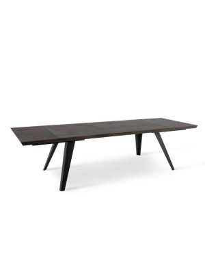 Table extensible Scott