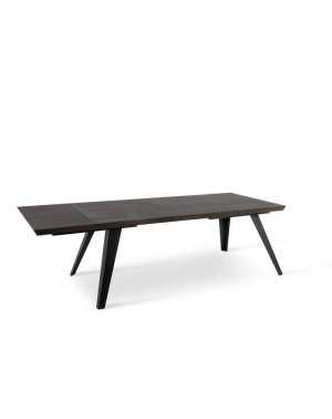 Table extensible Scott