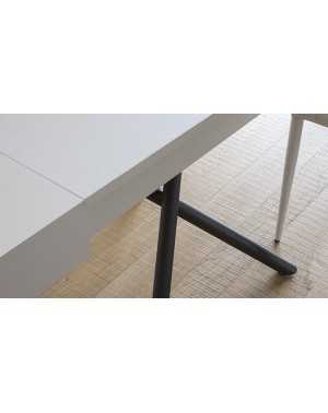 Table relevable Iris